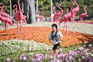 BIB: 
                            <button type="button" onclick="openModal(27793224)" class="btn btn-primary btn-sm float-right btn-popup" data-toggle="modal" data-target=".modal-high-quality">
                        <i class="fas fa-shopping-cart"></i> Add to Cart
                    </button>
                                            <button type="button" onclick="isThisMe(27793224, true)" class="btn btn-success btn-sm float-right btn-popup btn-isme hidden" data-toggle="tooltip" data-placement="bottom" title="นี่คือรูปของคุณใช่ไหม คลิกที่นี่เพื่อเอาเข้าอัลบั้ม">
                        <i class="fas fa-plus"></i> Add to album
                    </button>
                    <button type="button" onclick="isThisMe(27793224, false)" class="btn btn-warning btn-sm float-right btn-popup btn-isnotme hidden">
                        <i class="fas fa-ban"></i> Remove from album
                    </button>